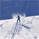 20140223_079_hahnenk__pflelaufauswahl_light.JPG