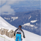 20140223_084_hahnenk__pflelaufauswahl_light.JPG