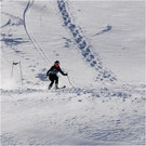 20140223_086_hahnenk__pflelaufauswahl_light.JPG