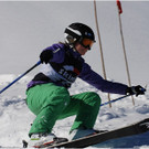 20140223_094_hahnenk__pflelaufauswahl_light.JPG