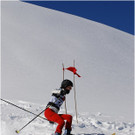 20140223_099_hahnenk__pflelaufauswahl_light.JPG