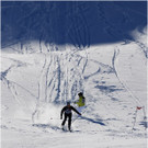 20140223_121_hahnenk__pflelaufauswahl_light.JPG