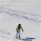 20140223_127_hahnenk__pflelaufauswahl_light.JPG