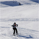 20140223_139_hahnenk__pflelaufauswahl_light.JPG
