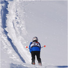20140223_178_hahnenk__pflelaufauswahl_light.JPG