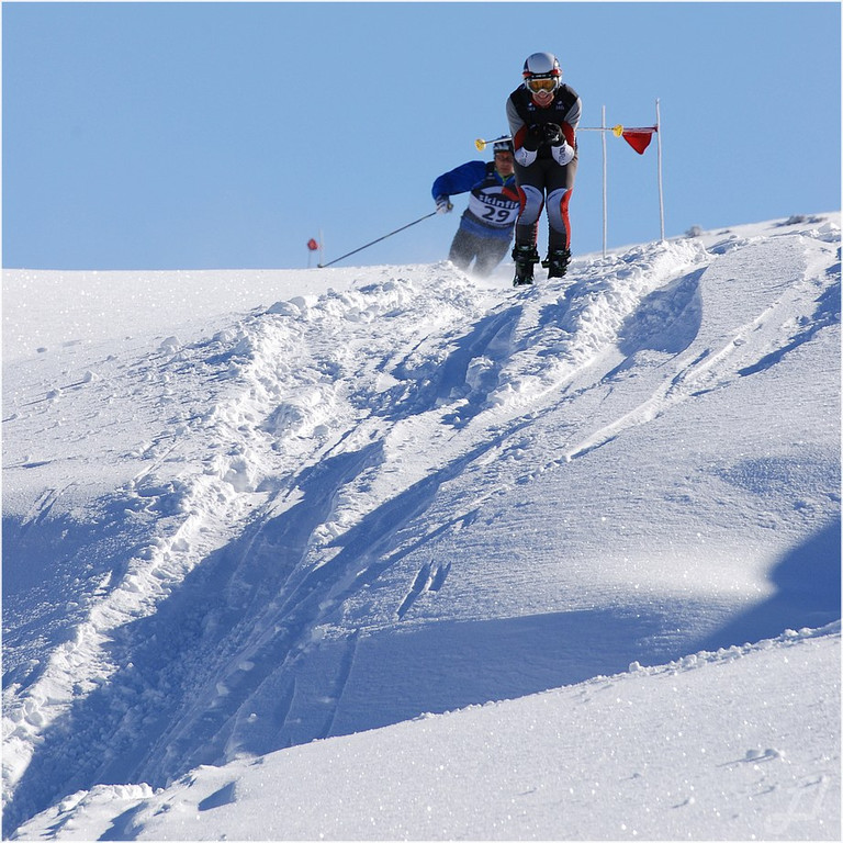 20140223_186_hahnenk__pflelaufauswahl_light.JPG