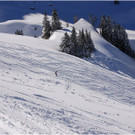 20140223_221_hahnenk__pflelaufauswahl_light.JPG