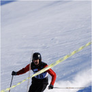 20140223_232_hahnenk__pflelaufauswahl_light.JPG