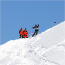 20140223_252_hahnenk__pflelaufauswahl_light.JPG