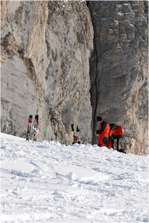 20140223_272_hahnenk__pflelaufauswahl_light.JPG