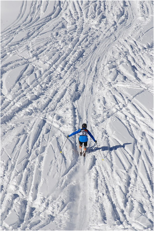 20140223_315_hahnenk__pflelaufauswahl_light.JPG