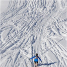 20140223_315_hahnenk__pflelaufauswahl_light.JPG