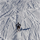 20140223_404_hahnenk__pflelaufauswahl_light.JPG