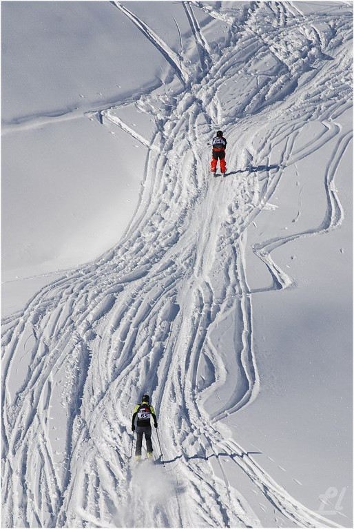 20140223_440_hahnenk__pflelaufauswahl_light.JPG