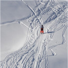 20140223_440_hahnenk__pflelaufauswahl_light.JPG