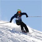 20140223_445_hahnenk__pflelaufauswahl_light.JPG