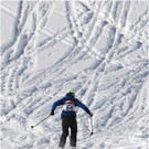 20140223_449_hahnenk__pflelaufauswahl_light.JPG