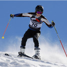 20140223_497_hahnenk__pflelaufauswahl_light.JPG