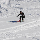20140223_516_hahnenk__pflelaufauswahl_light.JPG