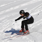 20140223_518_hahnenk__pflelaufauswahl_light.JPG