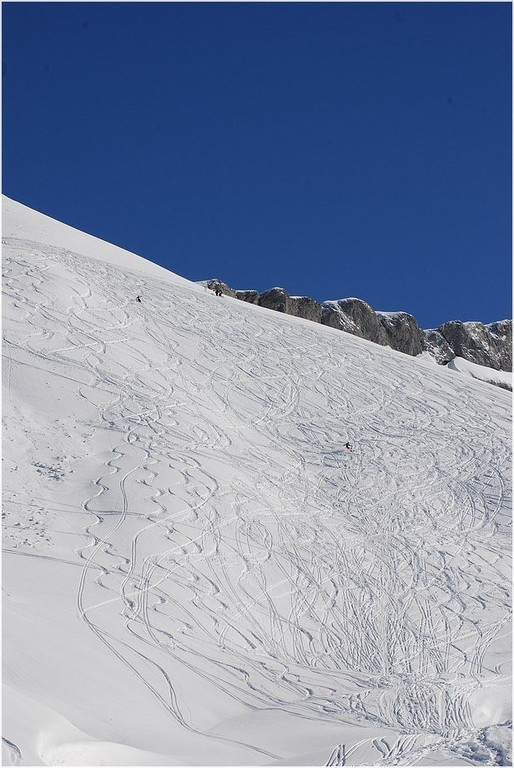 20140223_528_hahnenk__pflelaufauswahl_light.JPG