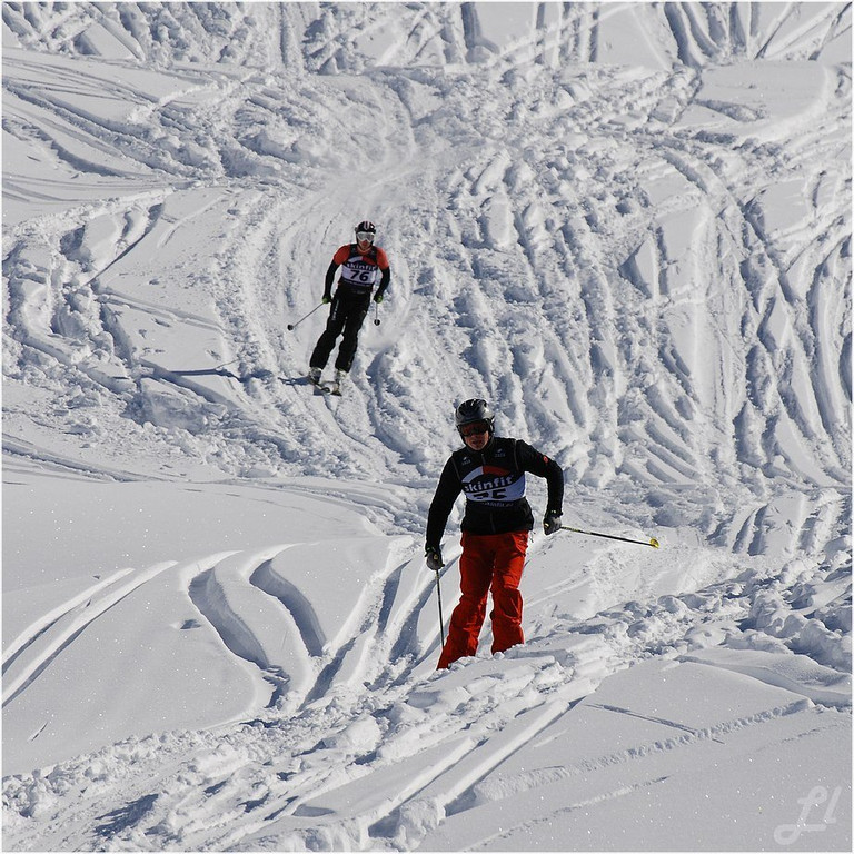 20140223_533_hahnenk__pflelaufauswahl_light.JPG