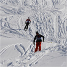 20140223_533_hahnenk__pflelaufauswahl_light.JPG