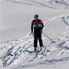 20140223_538_hahnenk__pflelaufauswahl_light.JPG