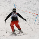 20140223_552_hahnenk__pflelaufauswahl_light.JPG