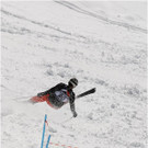 20140223_554_hahnenk__pflelaufauswahl_light.JPG