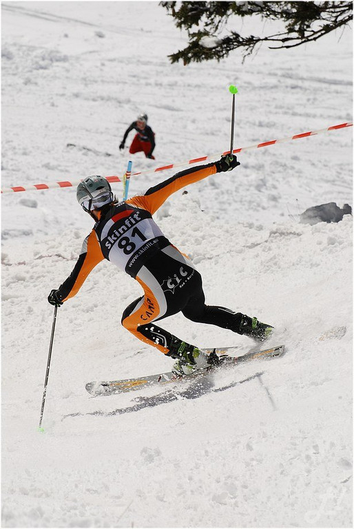 20140223_560_hahnenk__pflelaufauswahl_light.JPG