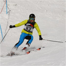 20140223_570_hahnenk__pflelaufauswahl_light.JPG
