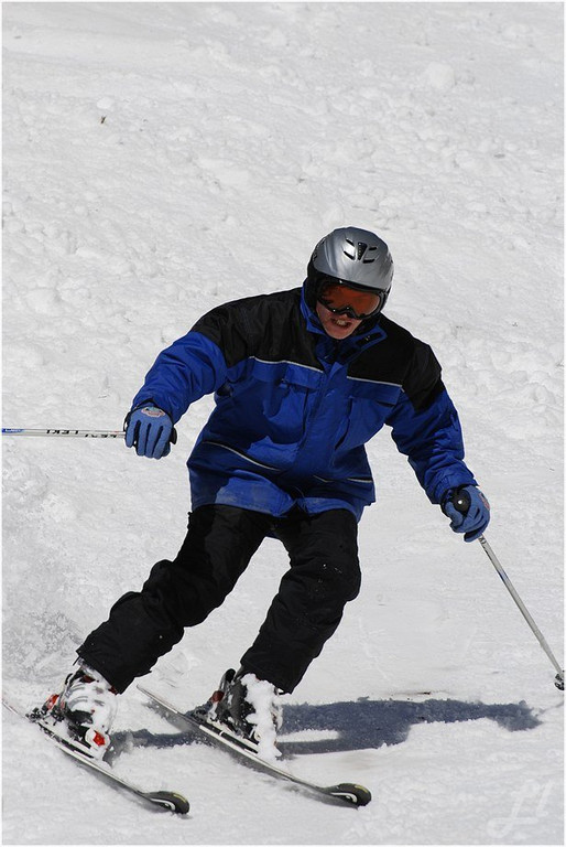 20140223_591_hahnenk__pflelaufauswahl_light.JPG