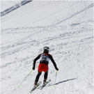 20140223_598_hahnenk__pflelaufauswahl_light.JPG