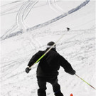 20140223_599_hahnenk__pflelaufauswahl_light.JPG