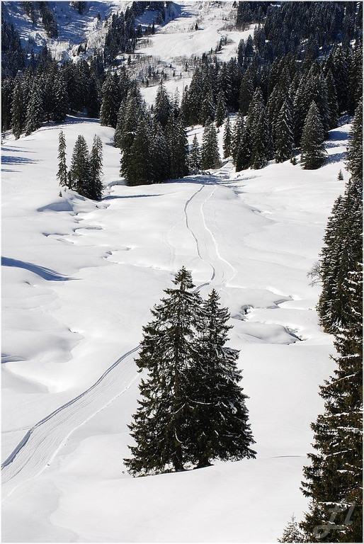 20140223_603_hahnenk__pflelaufauswahl_light.JPG