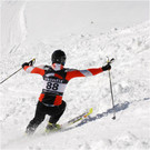 20140223_610_hahnenk__pflelaufauswahl_light.JPG