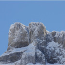 20140223_637_hahnenk__pflelaufauswahl_light.JPG