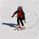 20140223_647_hahnenk__pflelaufauswahl_light.JPG