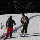 20140223_681_hahnenk__pflelaufauswahl_light.JPG