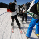 20140223_711_hahnenk__pflelaufauswahl_light.JPG