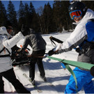20140223_715_hahnenk__pflelaufauswahl_light.JPG