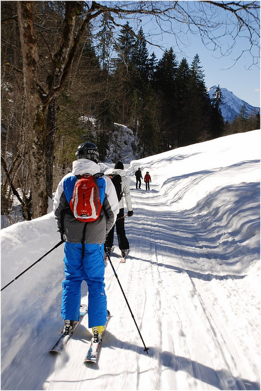 20140223_722_hahnenk__pflelaufauswahl_light.JPG