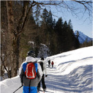 20140223_722_hahnenk__pflelaufauswahl_light.JPG