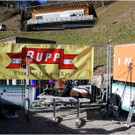 20140223_732_hahnenk__pflelaufauswahl_light.JPG