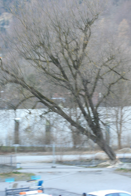 Schillerallee Baumf__llung 25022014  _14_.jpg