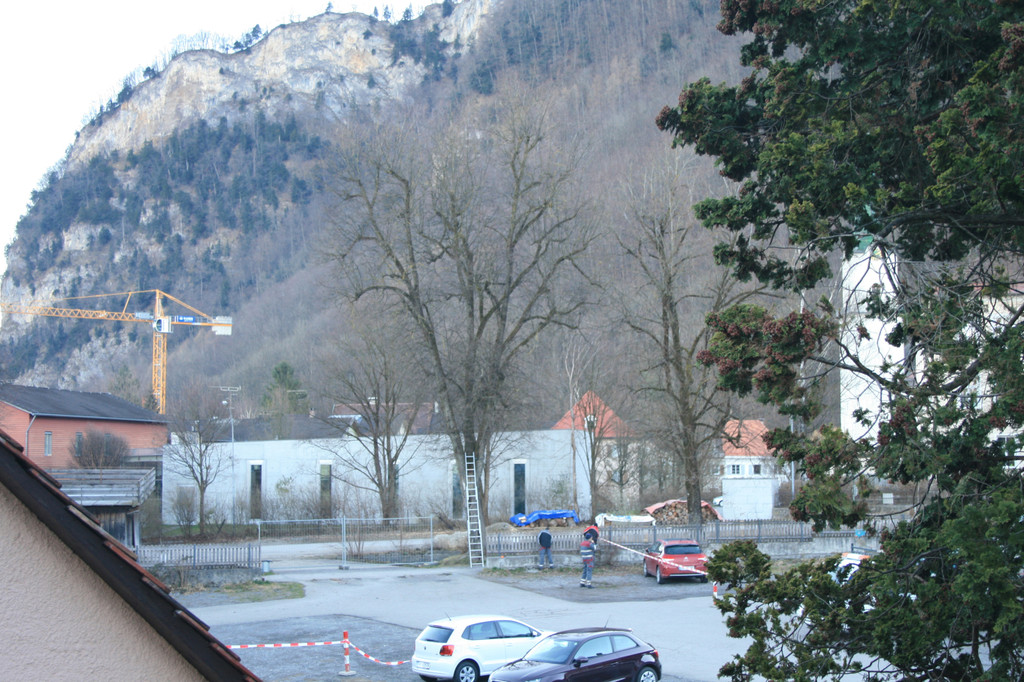 Schillerallee Baumf__llung 25022014  _1_.jpg