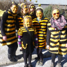Umzug11Bienen.jpg