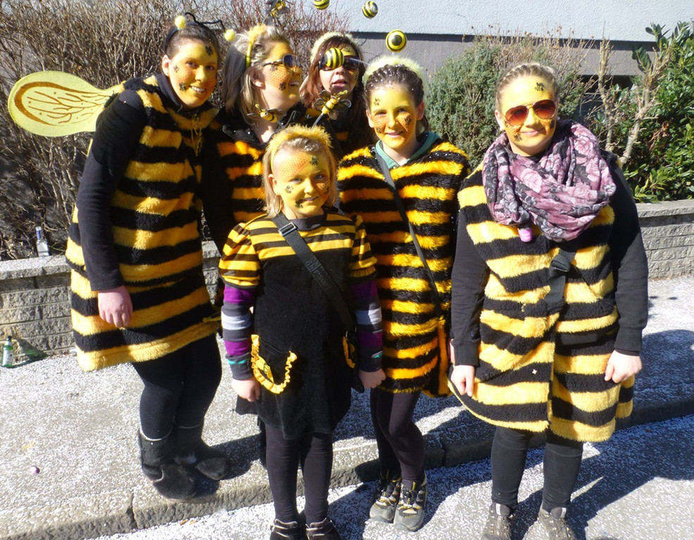 Umzug11Bienen.jpg
