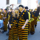 Umzug31Bienen.jpg